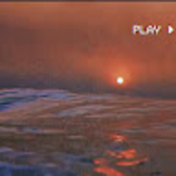 Meet your Posher, Maxwell - Picture 1 of 1